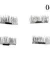 1 Pair 3D Magnet False Eyelash